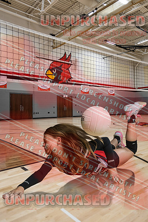 IND A1 Volleyball-25