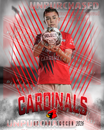 IND Soccer-15-brown_4