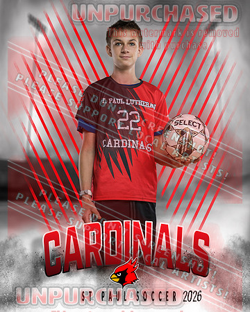 IND Soccer-21-brown_4