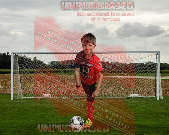 IND Soccer-25-brown_2