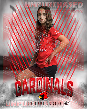 IND Soccer-8-brown_3