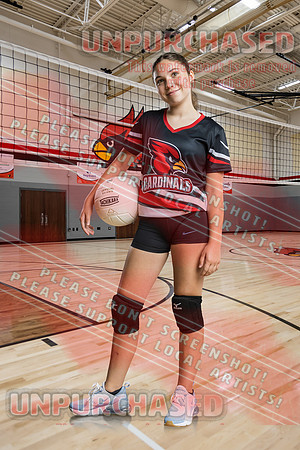 IND A2 Volleyball-5