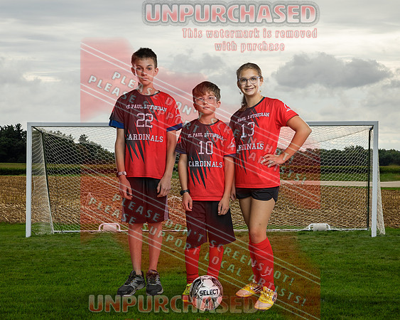 IND Soccer-35-brown_2