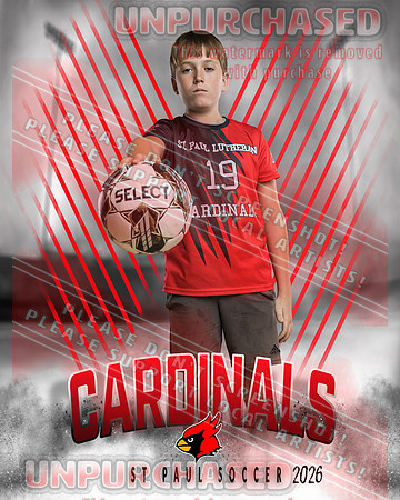 IND Soccer-12-brown_4
