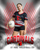 IND A2 Volleyball-5_2