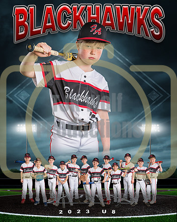 BLUE HAUBENSCHILD U8-3_2