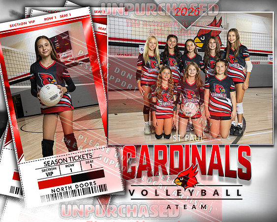 IND A1 Volleyball-11_2