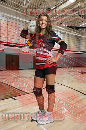 IND A2 Volleyball