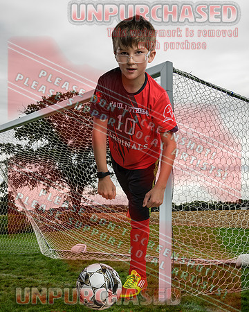 IND Soccer-25-brown