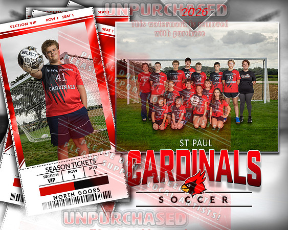 IND Soccer-brown
