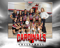 8x10 A2 TEAM LOGO