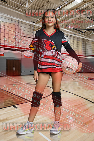 IND A1 Volleyball-12