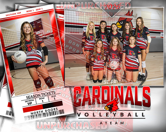 IND A1 Volleyball-9_2