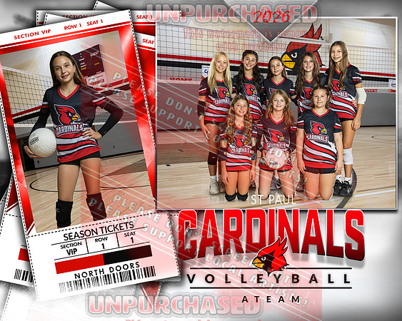 IND A1 Volleyball-10_2