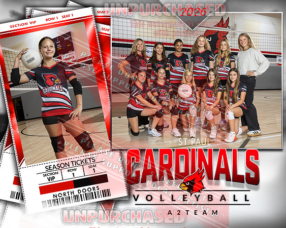 IND A2 Volleyball-9_3
