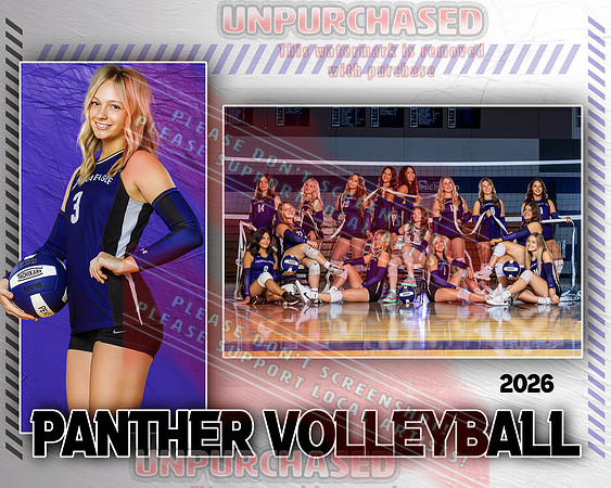 PEHS VB IND_2