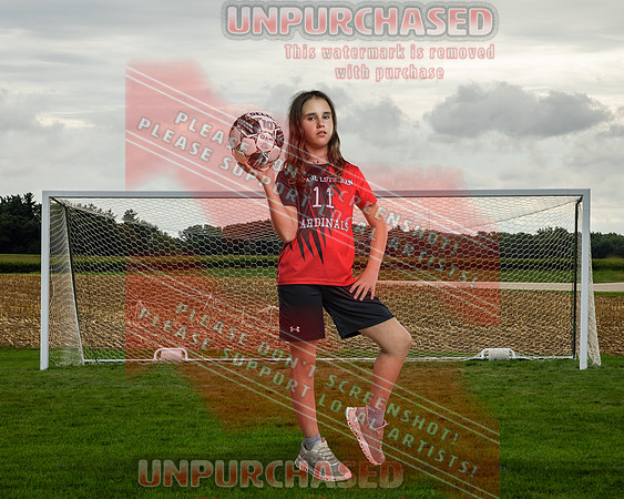 IND Soccer-7-brown_2