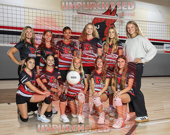 8x10 A2 VB Team