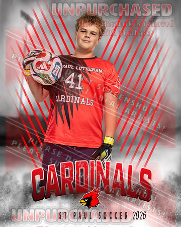 LM Soccer-6-brown_3