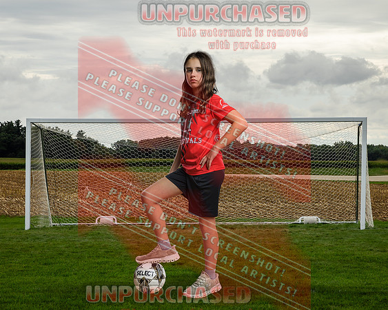 IND Soccer-8-brown_2