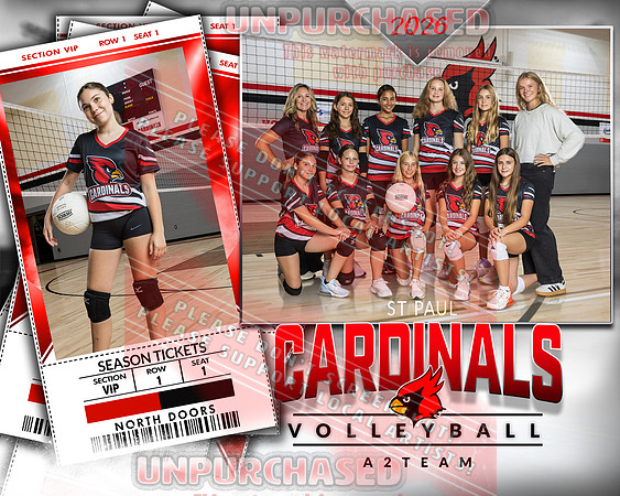 IND A2 Volleyball-5_3