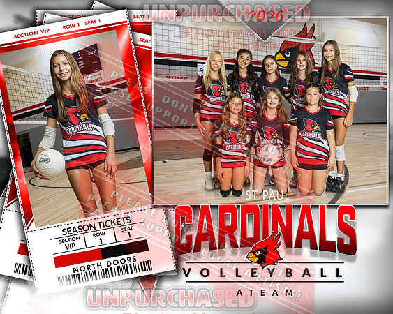 IND A1 Volleyball_2