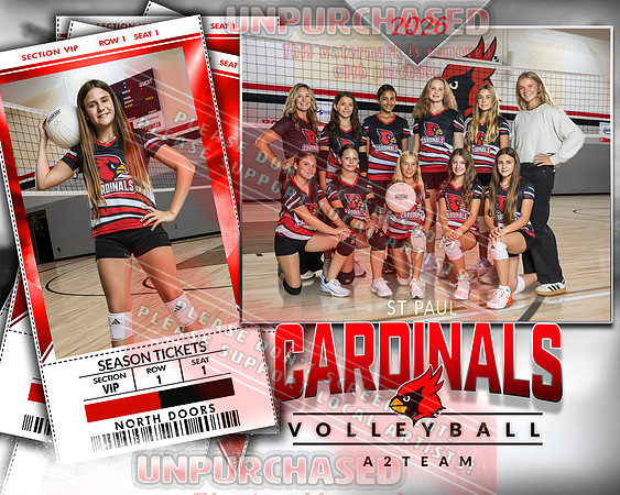 IND A2 Volleyball-21_3