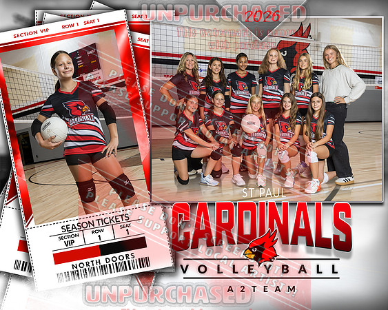 IND A2 Volleyball-8_3