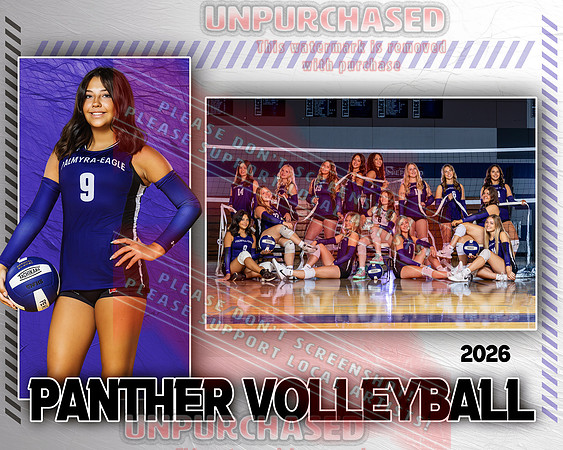 PEHS VB IND-2_2