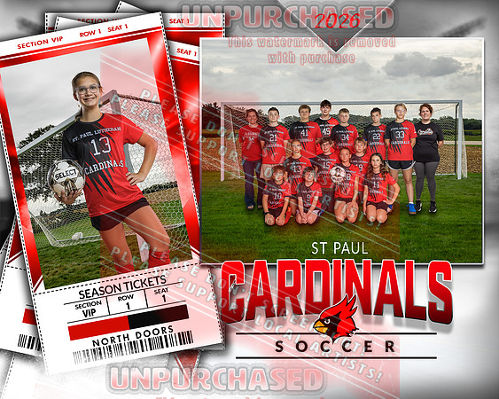 IND Soccer-33-brown