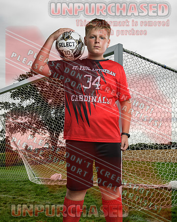 IND Soccer-5-brown