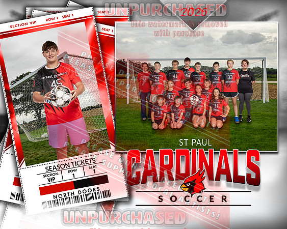LM Soccer-3-brown