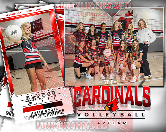 IND A2 Volleyball-23_3