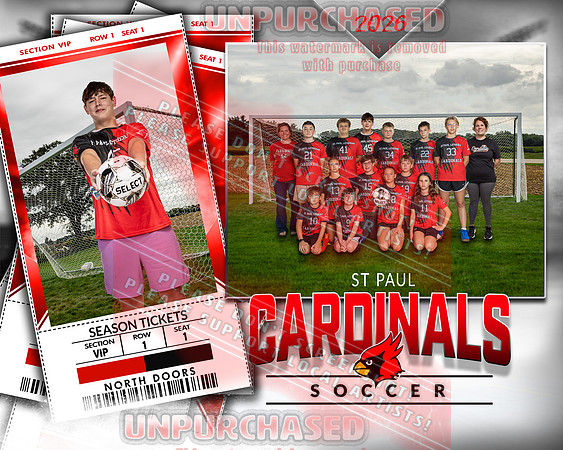 LM Soccer-2-brown