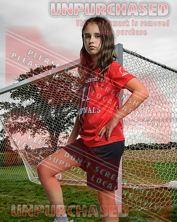 IND Soccer-8-brown