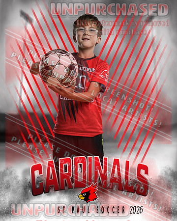 IND Soccer-24-brown_4
