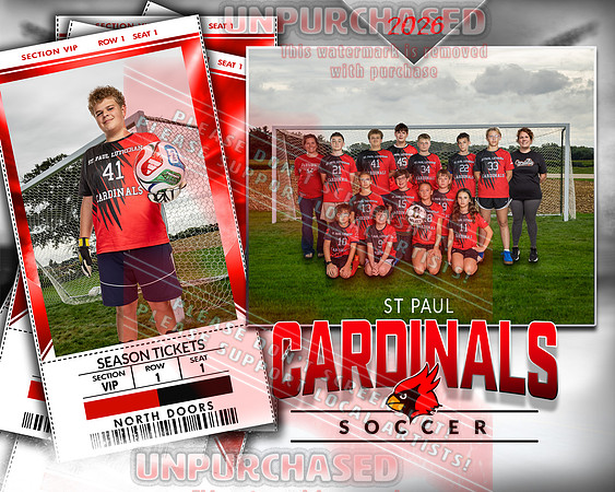 LM Soccer-5-brown