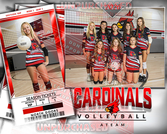 IND A1 Volleyball-19_2