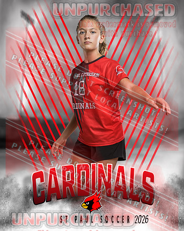 IND Soccer-31-brown_4