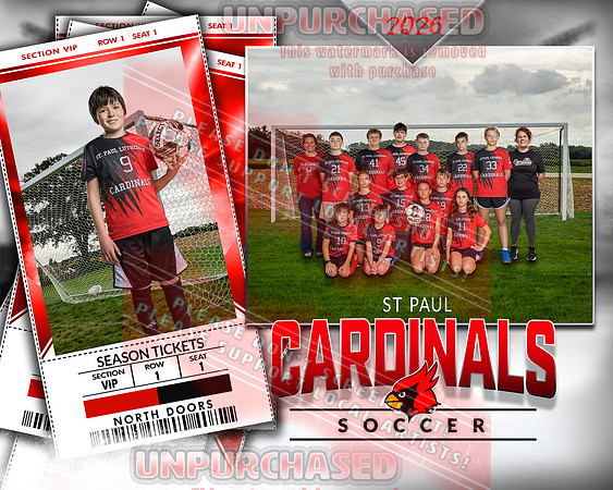 IND Soccer-42-brown