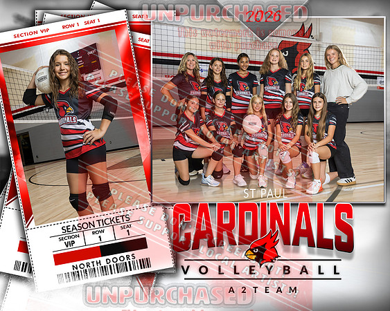 IND A2 Volleyball_3