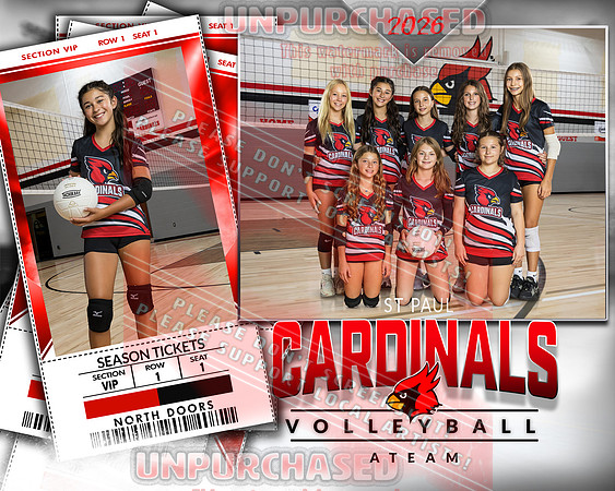 IND A1 Volleyball-16_2