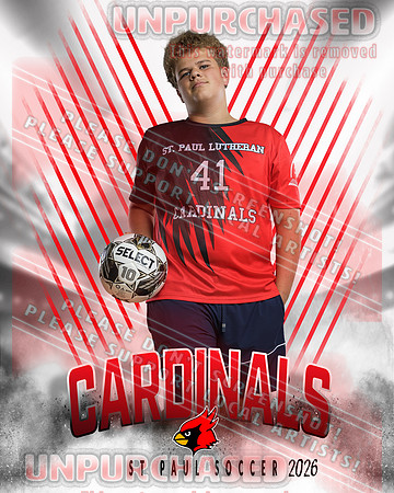 IND Soccer-2-brown_3