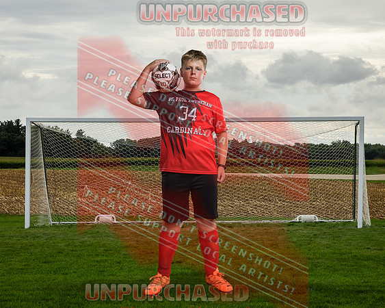 IND Soccer-5-brown_2
