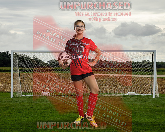 IND Soccer-33-brown_2