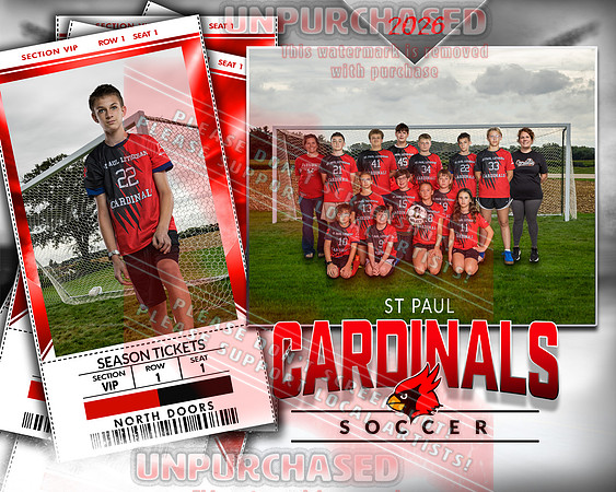 IND Soccer-22-brown