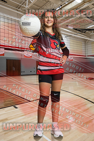 IND A2 Volleyball-4
