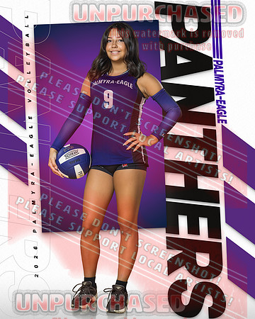 PEHS VB IND-2