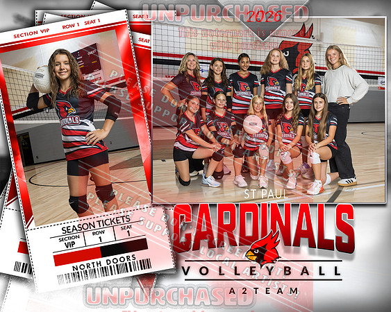 IND A2 Volleyball-3_3