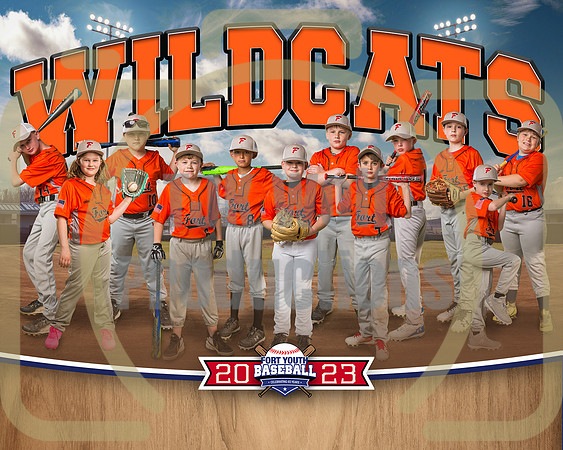 8x10 Wildcats Team